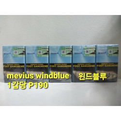 뫼비우스 윈드 블루 담배