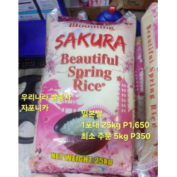 일본쌀 한국쌀 종자 - 자포니카 5kg단위