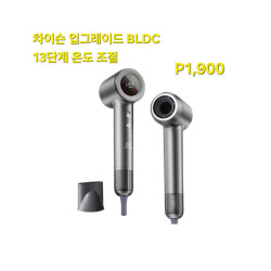 차이슨 신제품 헤어스타일러 음이온 드라이기 - 그레이 gray