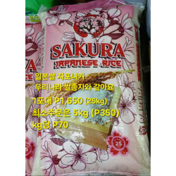 일본쌀 한국쌀 종자 - 자포니카 5kg단위