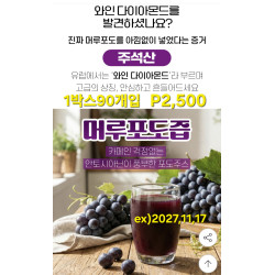 경북 영천 머루포도즙 100% 90포입