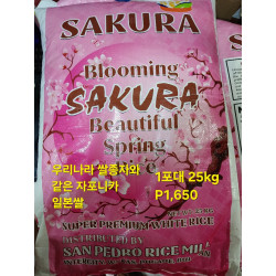 일본쌀 한국쌀 종자 자포니카 1포대 25kg